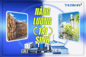 Thuận Hải đầu tư xây dựng nhà máy Co-gen, đốt rác phát điện và hơi từ năm 2017